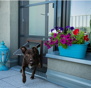 Ein Hund geht durch die Tierklappe einer Insektenschutztür neben einem Blumenkasten